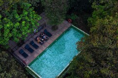 Wayanad Wild - A CGH Earth Experience