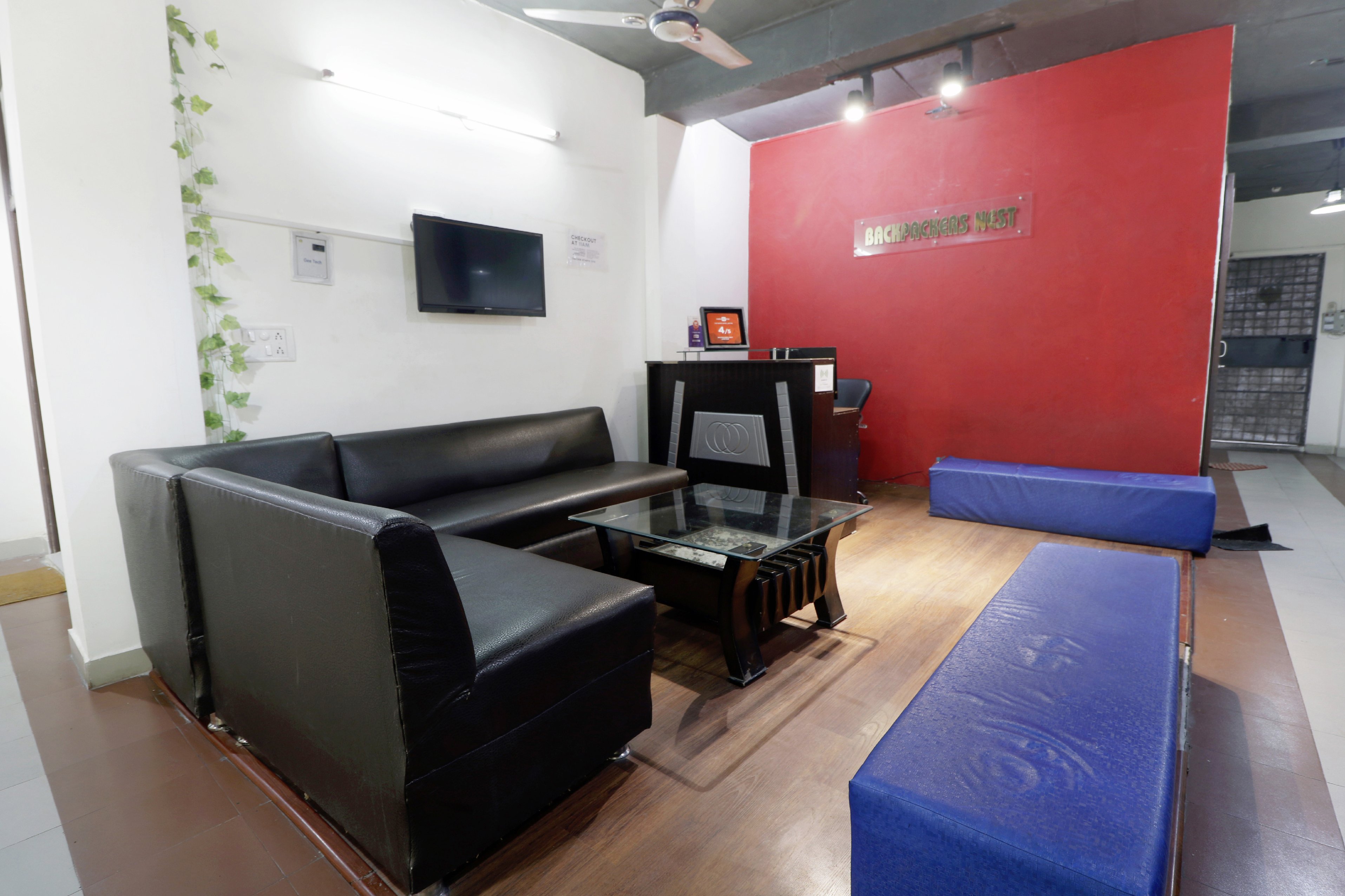 Backpacker's Nest - Tap to explore photos