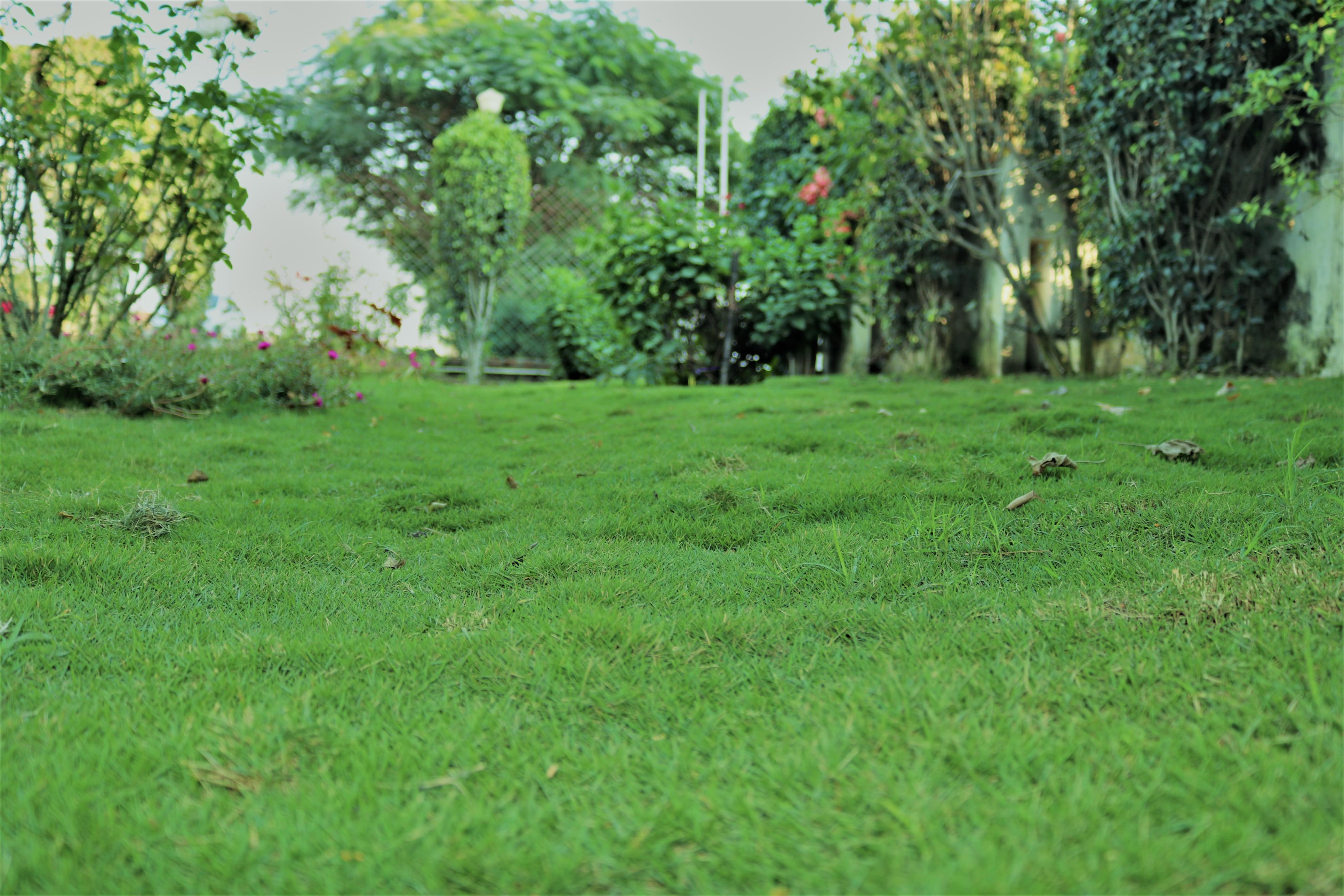 Hotel Vaishnavi Heights - Tap to explore photos