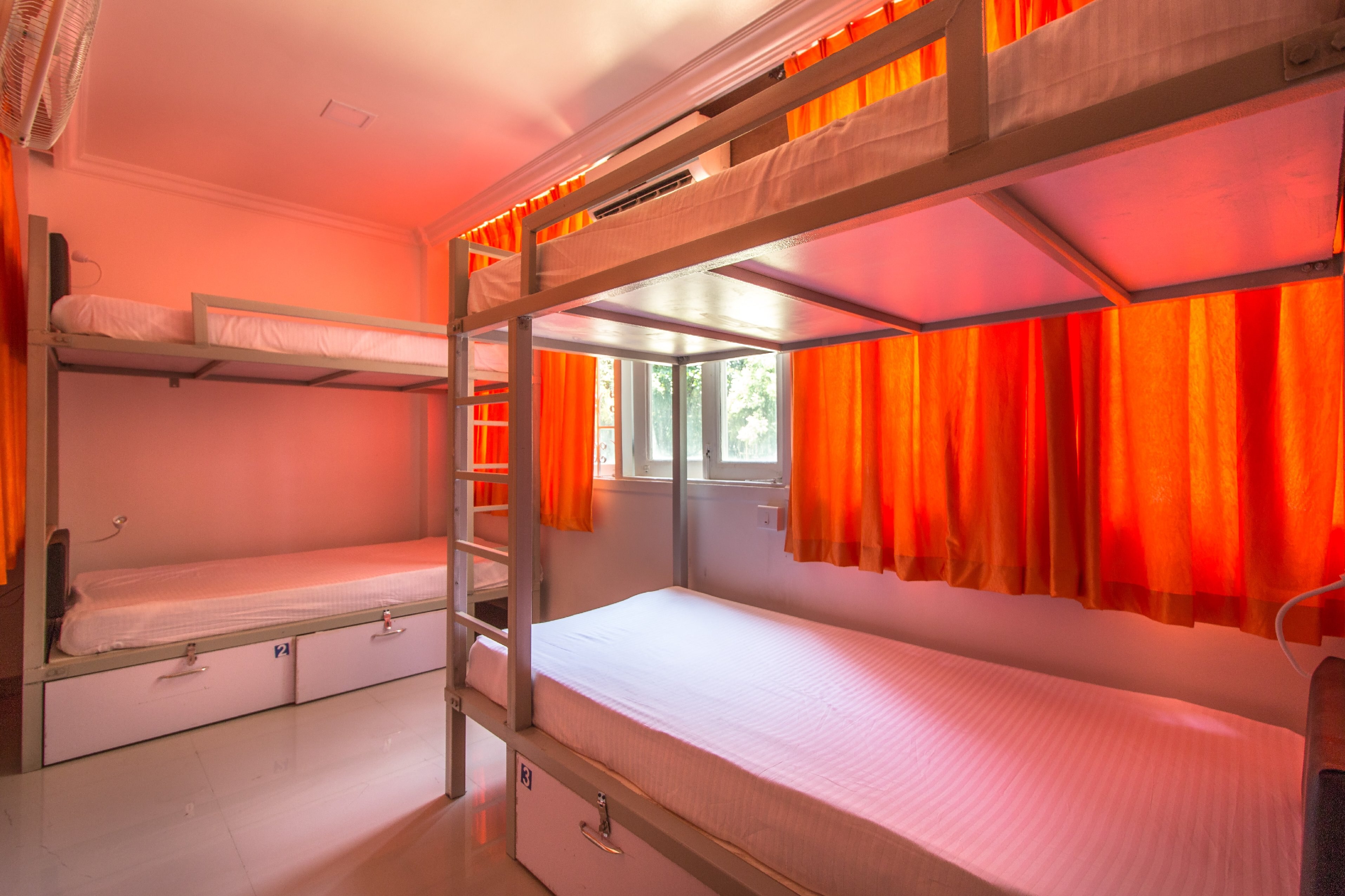 Backpacker Panda Pune - Tap to explore photos