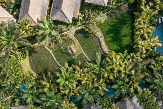 The Sankara Resort