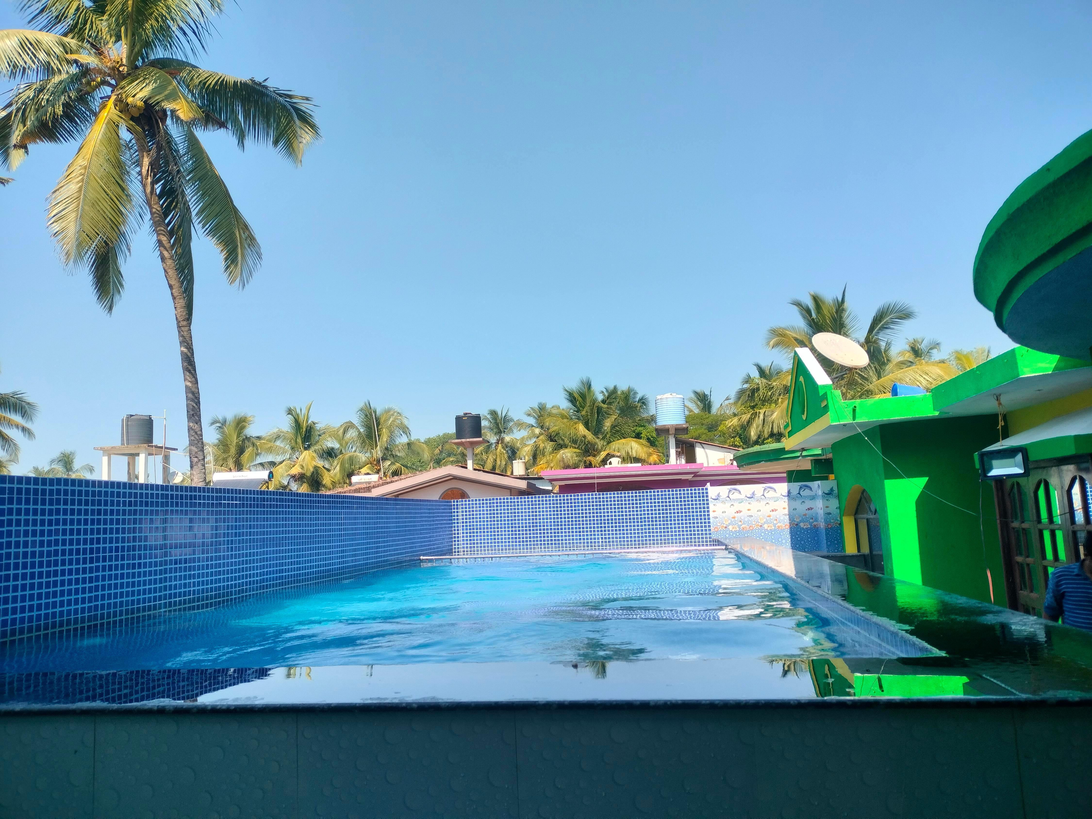 Fig Fin Beach Resort