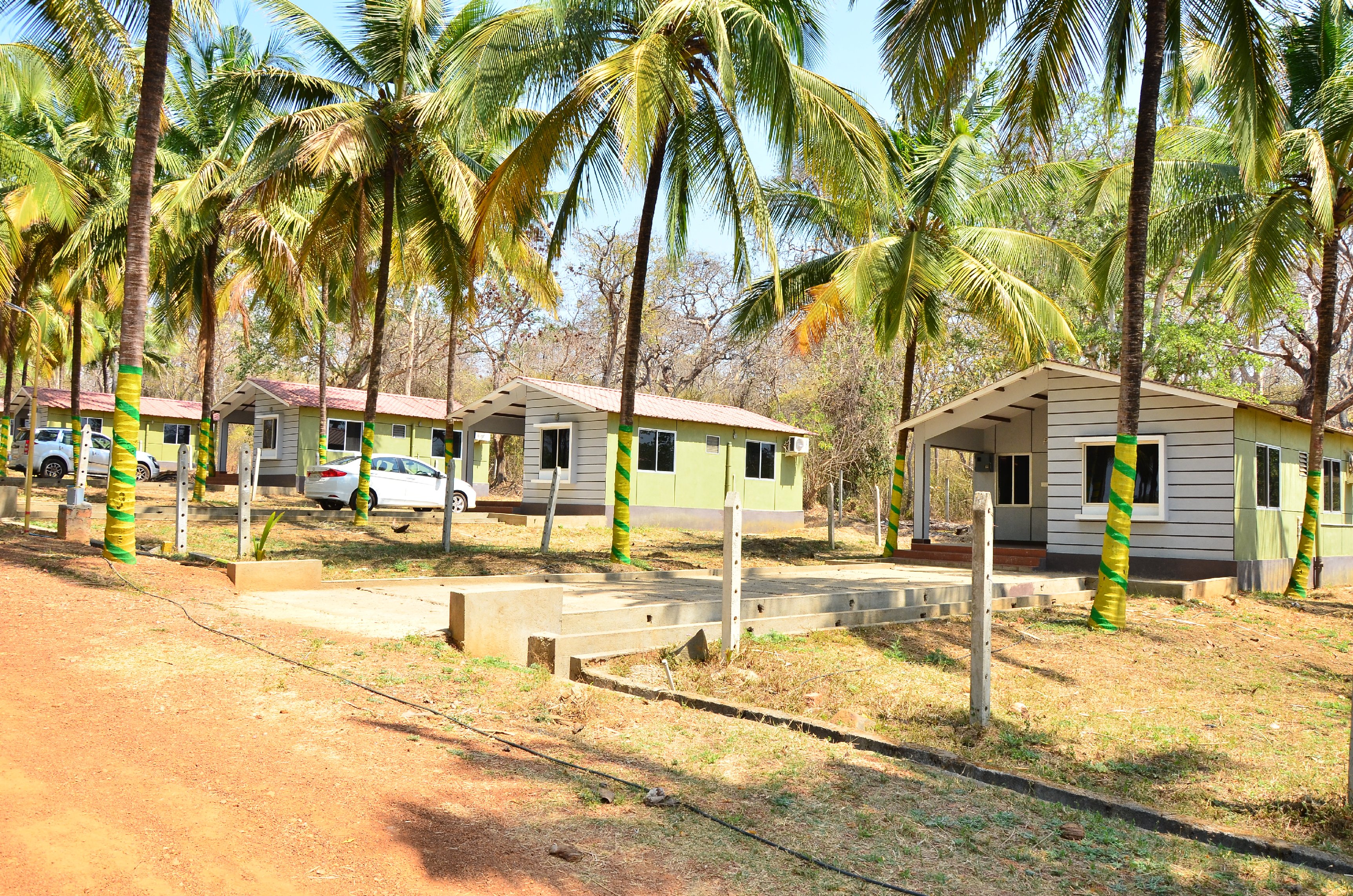 The Wild Club & Resorts | Rooms & Pool