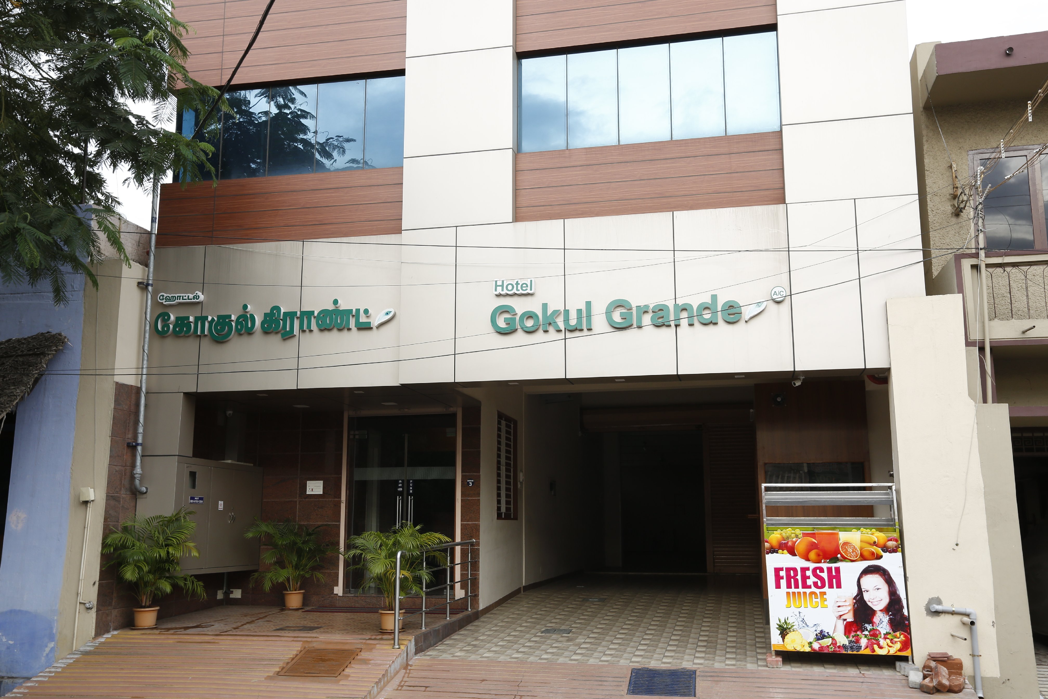 Main gallery