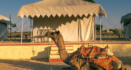Royal Pavilion Camps Room Type - Luxury AC Tent