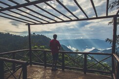 After the Rains - Rainforest Lodge