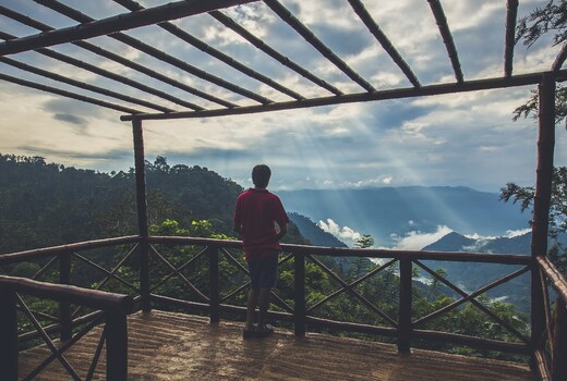 After the Rains - Rainforest Lodge