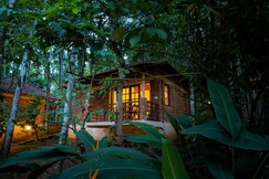 Raindrops Resorts Wayanad