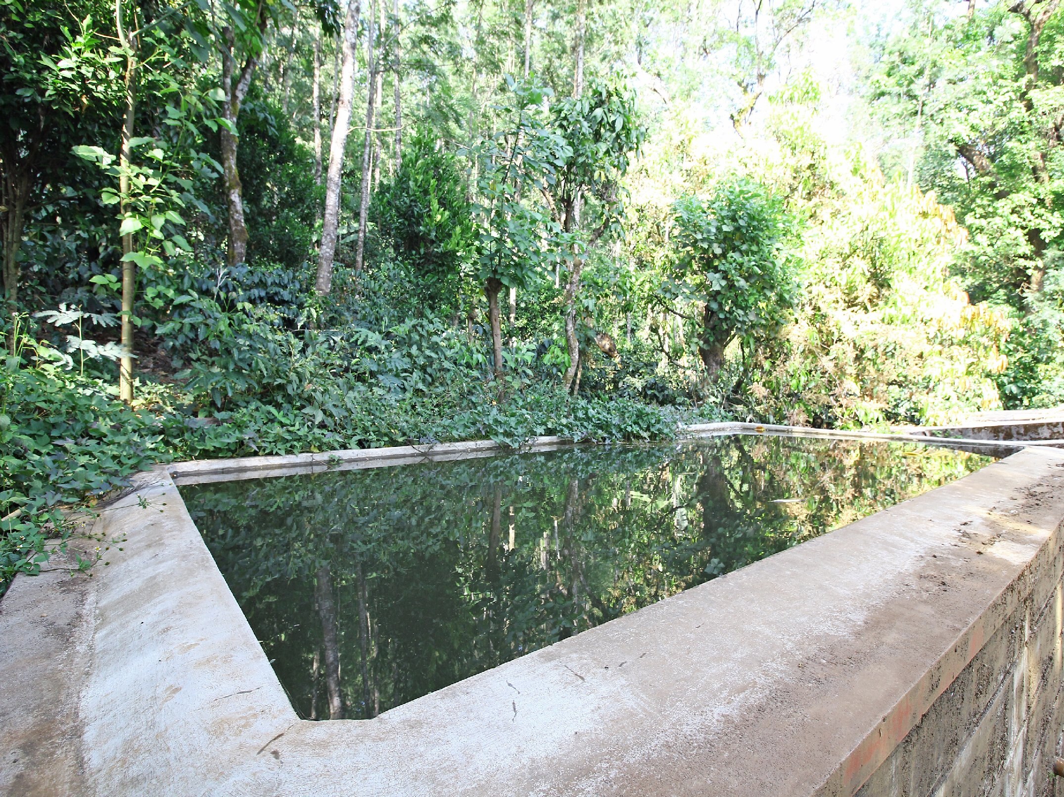 Suraksha Homestay (Room For Six) - Tap to explore photos