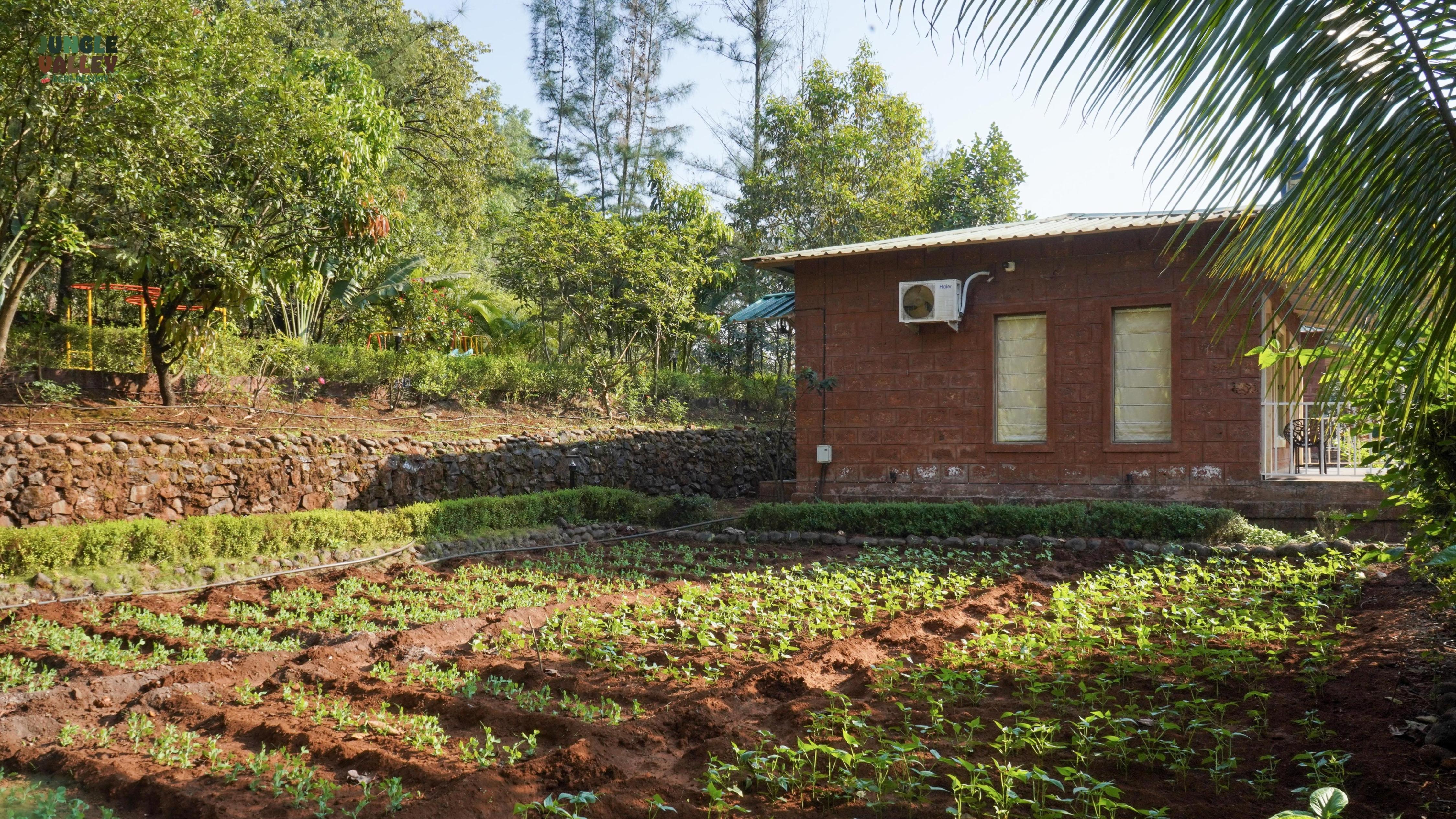 Jungle Valley Agriculture Resort - Tap to explore photos