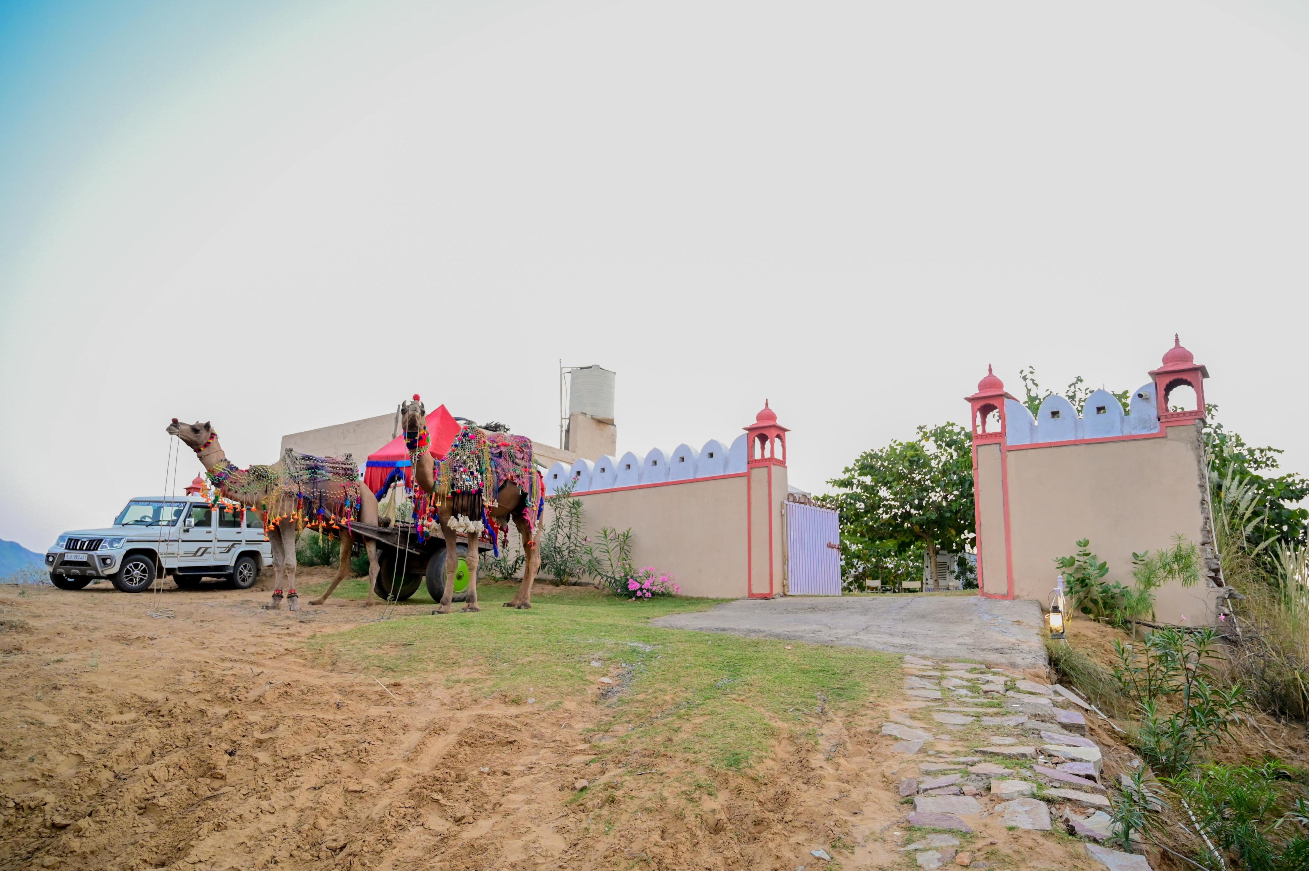 Pushkar Desert Karni Camp - Tap to explore photos