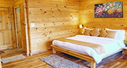 Treehouse Resort | Himalayan Views Room Type - Treehouse Infinity