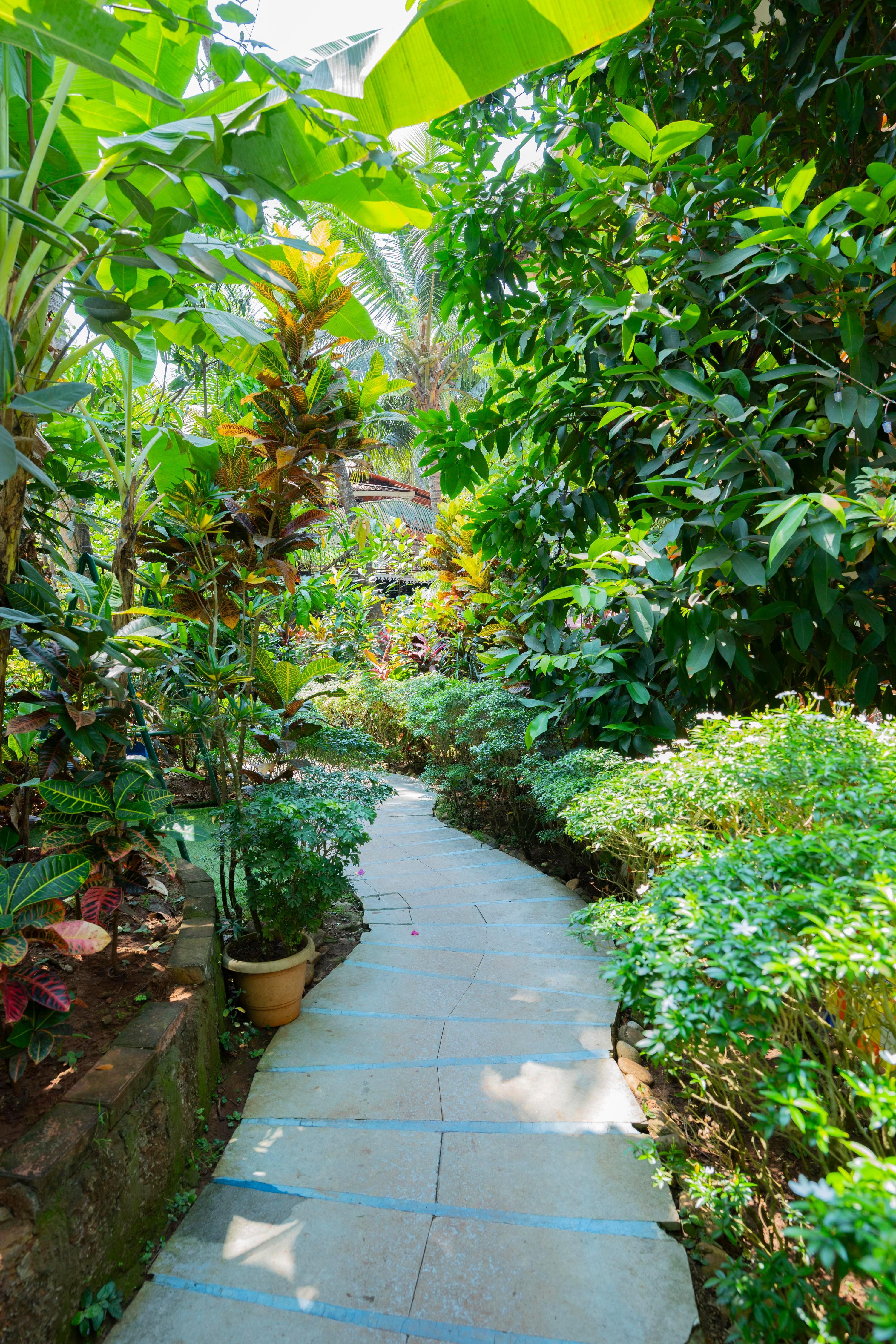 Resort Palmeiras Dourado - Tap to explore photos