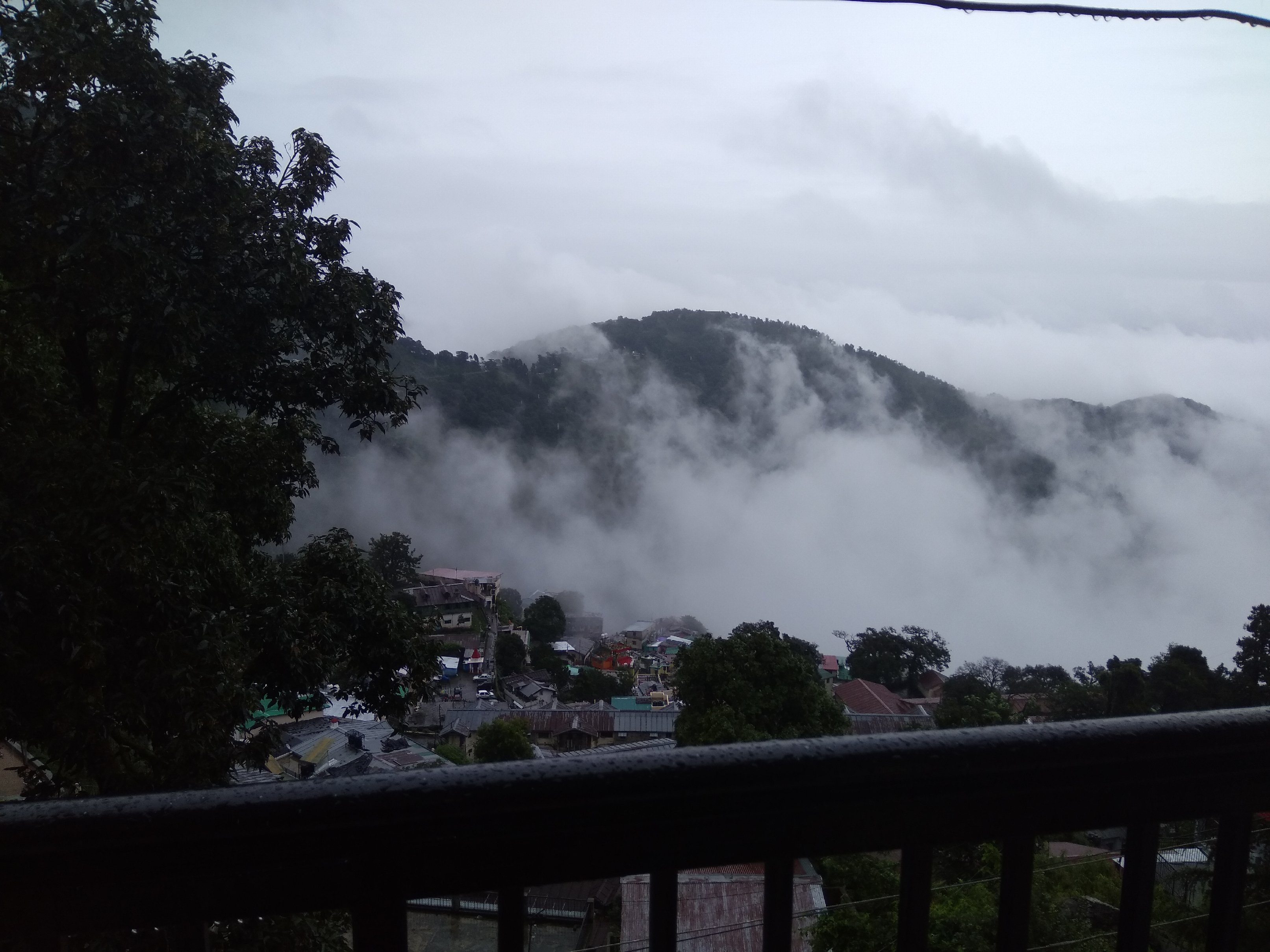 Paradise Homestay | Rooms & Caretaker