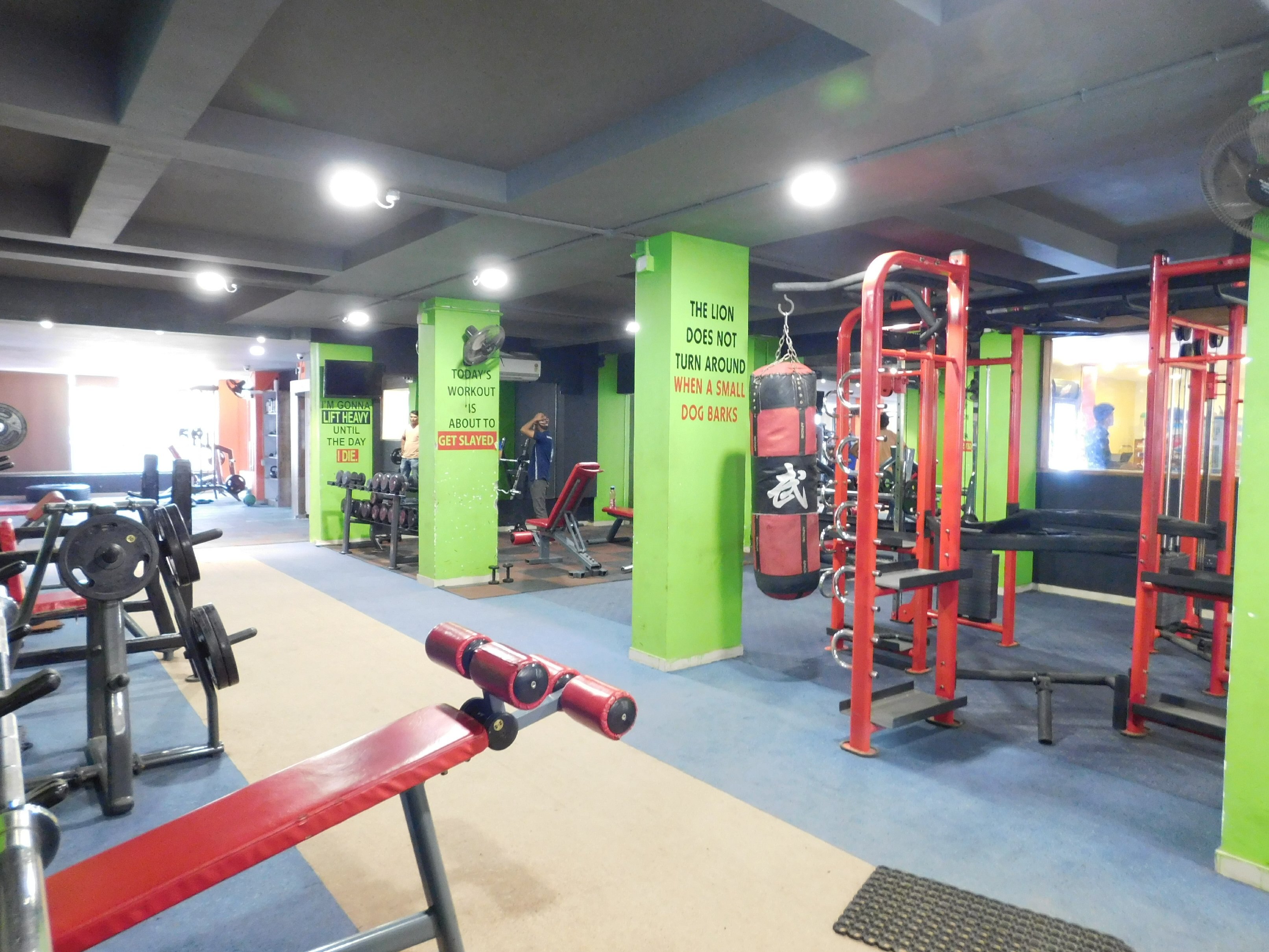 Main gallery