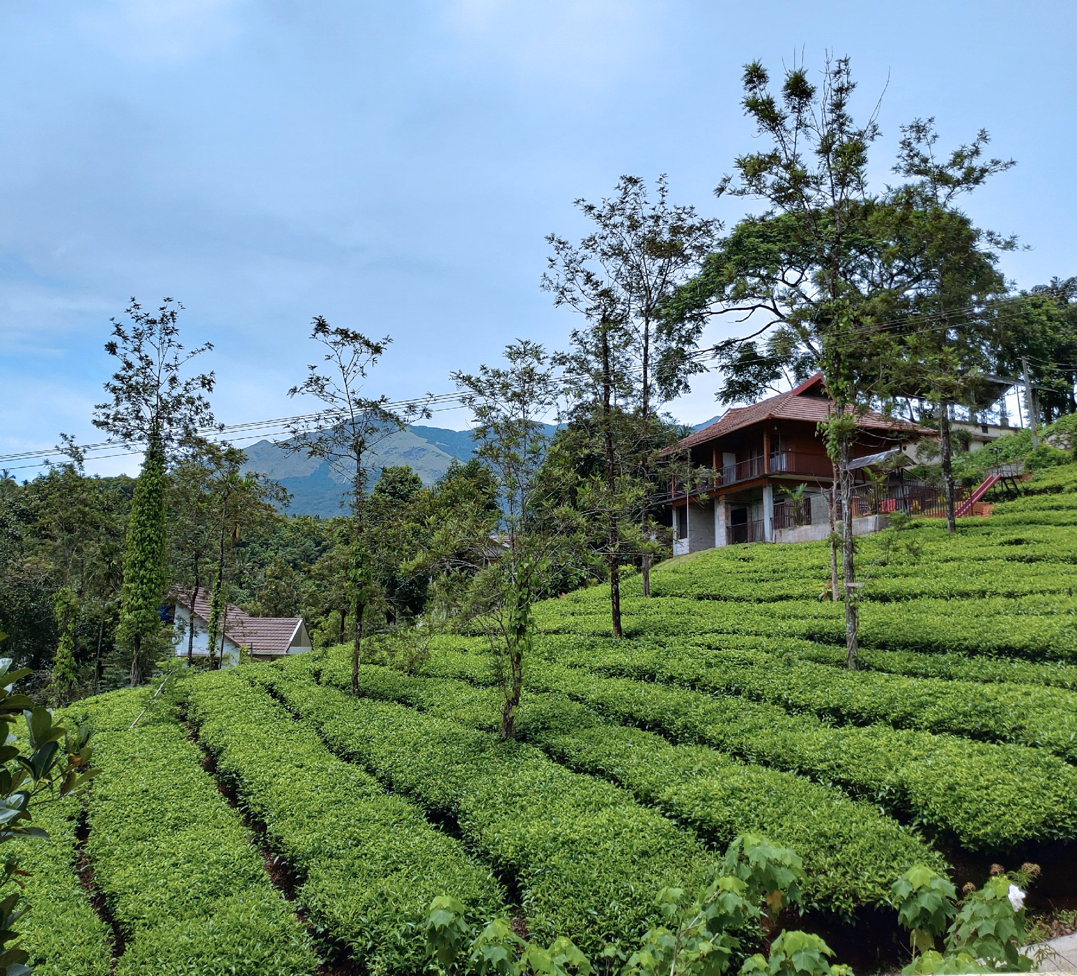 Vythiri Tea Garden Retreat