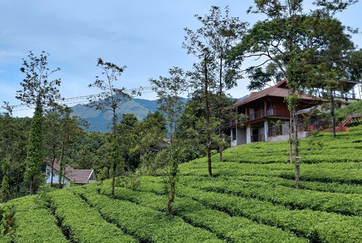Vythiri Tea Garden Retreat