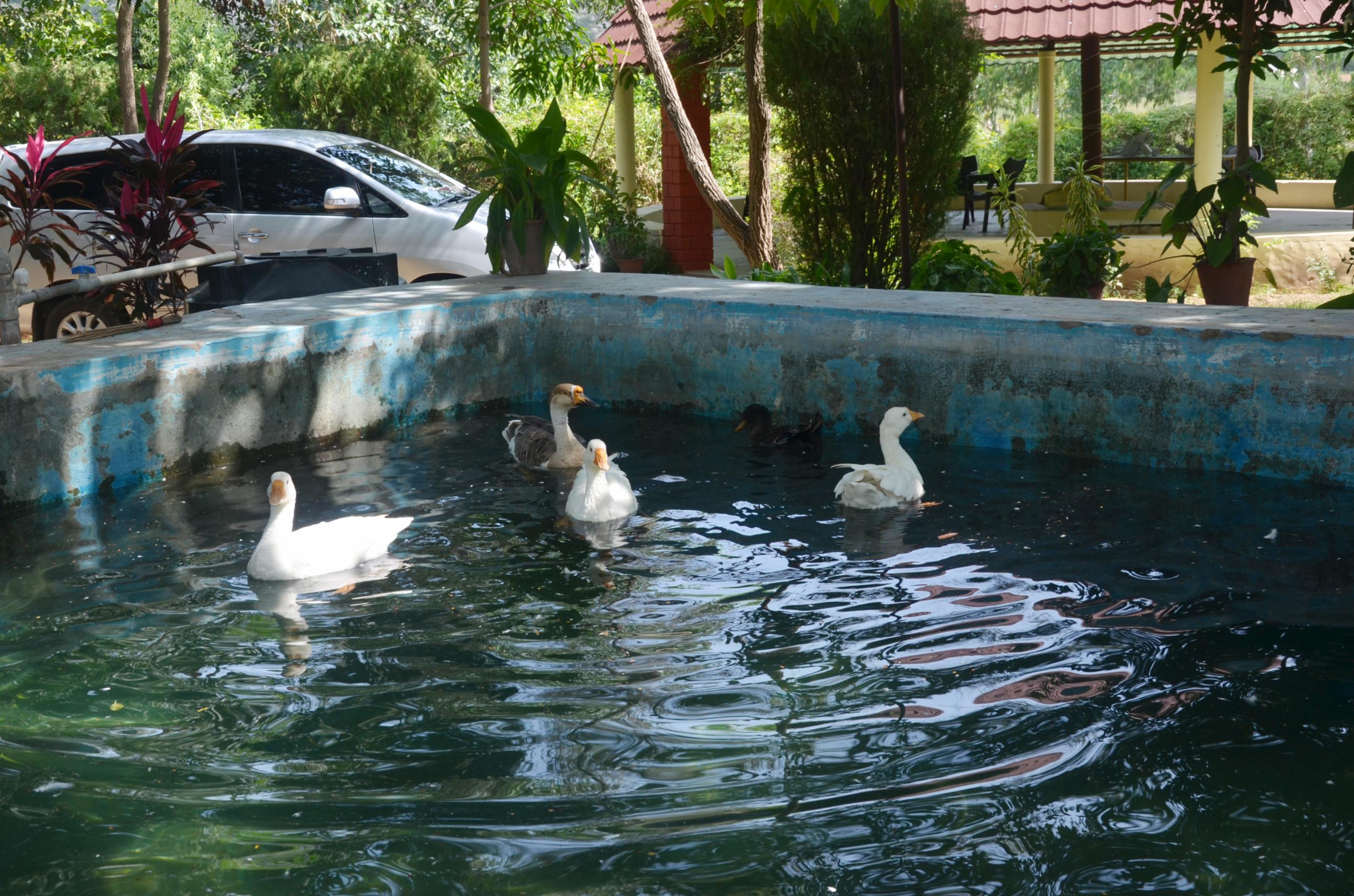 Albeli Resort - Tap to explore photos