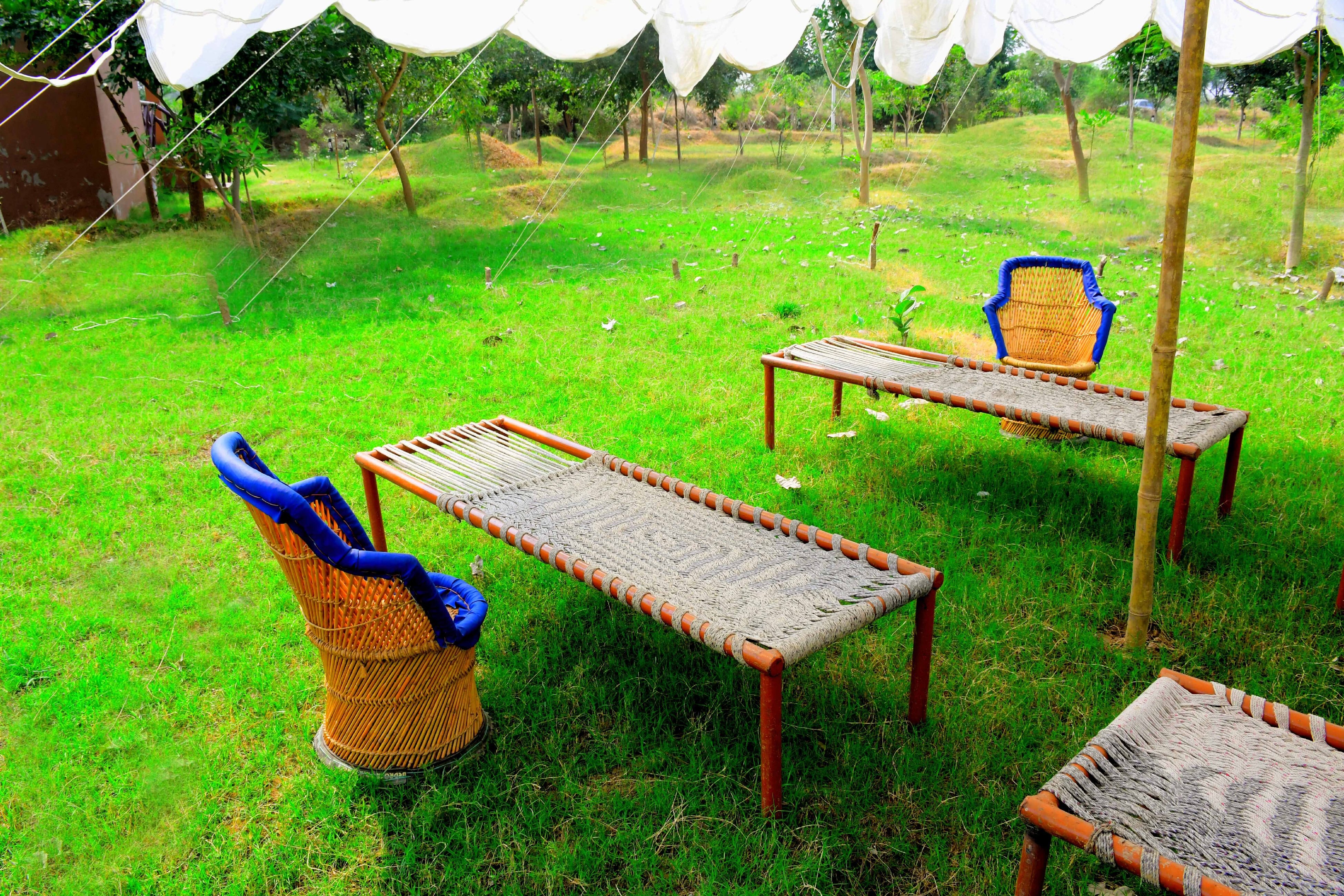 Chambal Wildlife Safari lodge - Tap to explore photos