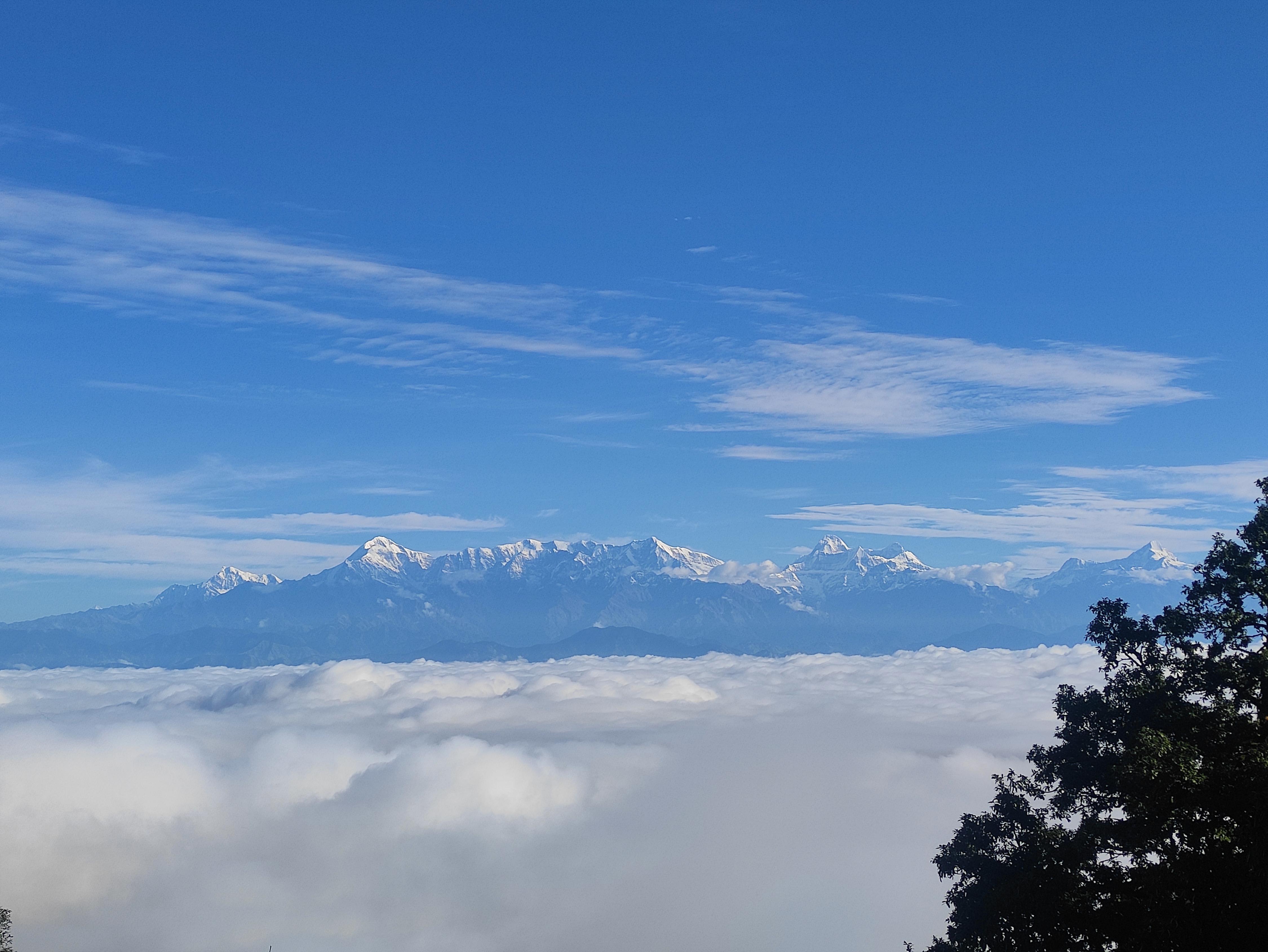 Simba Jungle Lodge, Binsar Wildlife Sanctuary - Tap to explore photos
