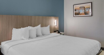 Best Western Of Walterboro Room Type - 1 King Bed, Non-Smoking, Larger Room, Microwave And Refrigerator, Wi-Fi, Pet Friendly Room, Full Bre Best Western Of Walterboro Room Type - 1 King Bed, Non-Smoking, Larger Room, Microwave And Refrigerator, Wi-Fi, Pet Friendly Room, Full Bre
