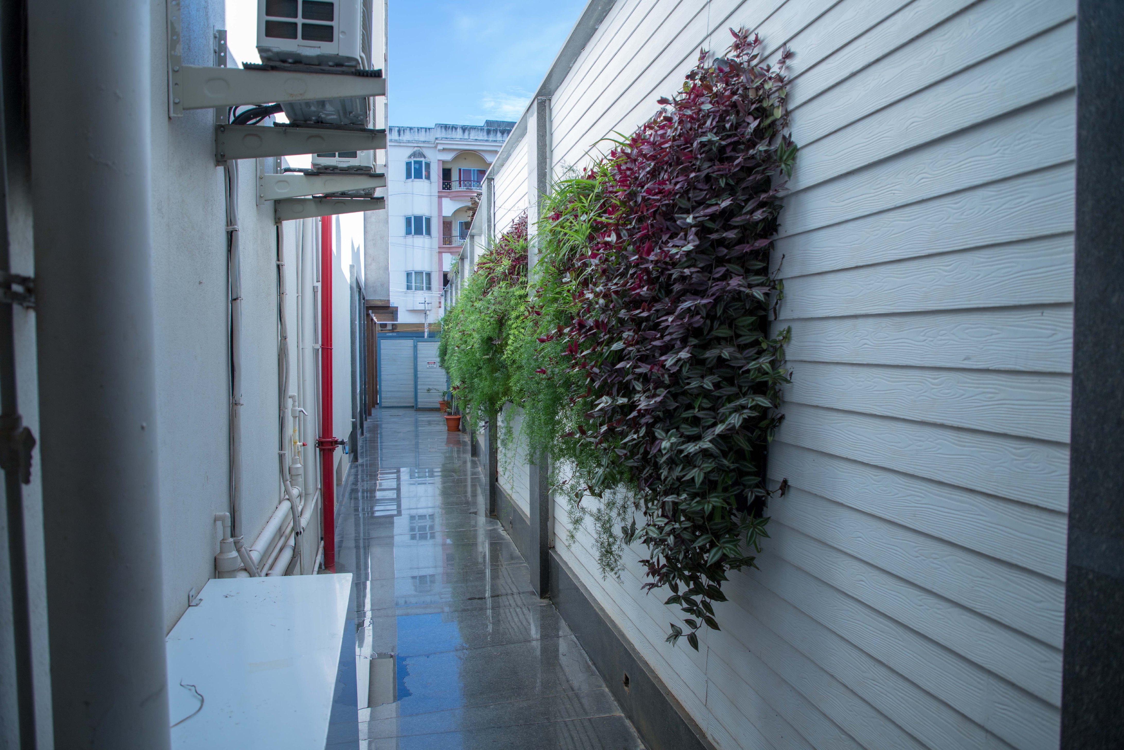 Zip By Spree Hotels Samudra - Tap to explore photos