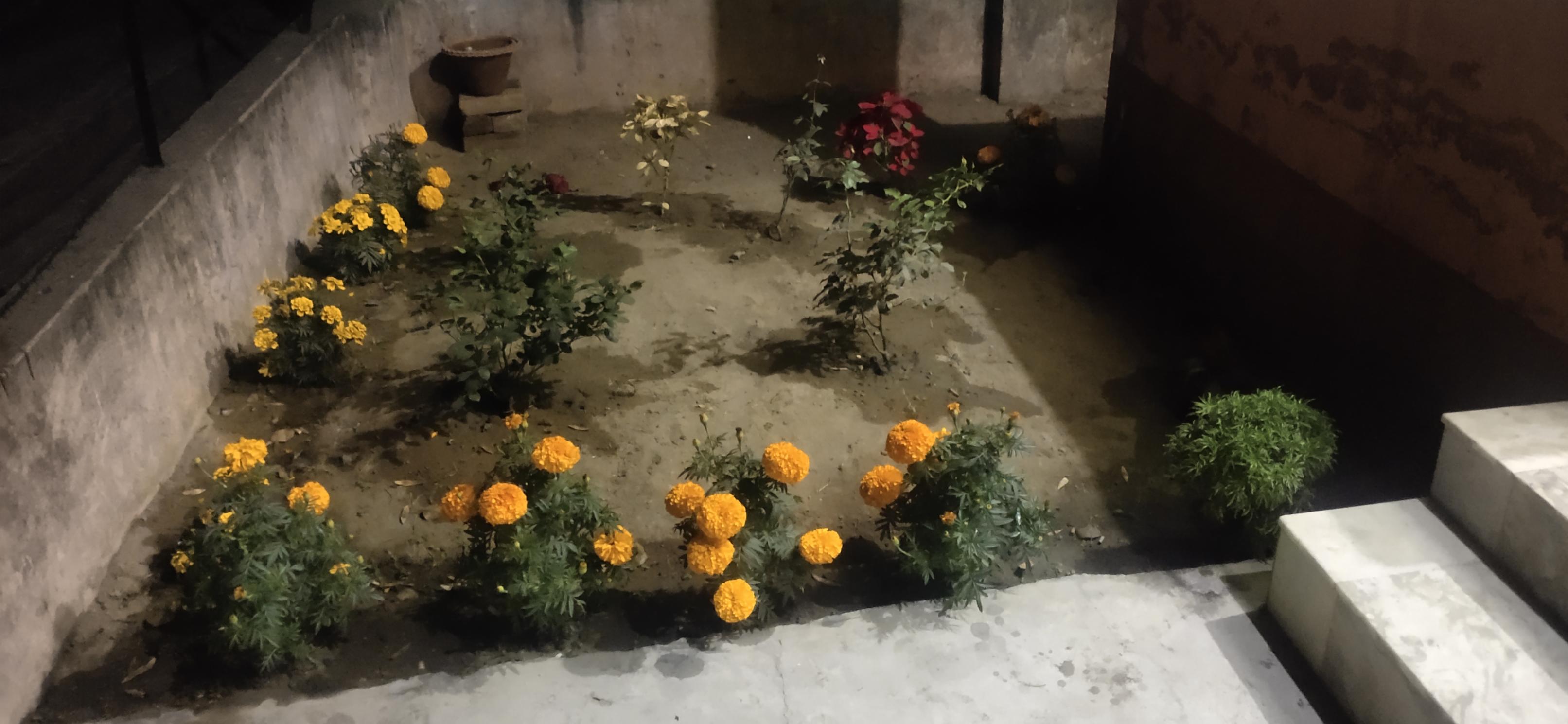 Satyakam Guest House - Tap to explore photos
