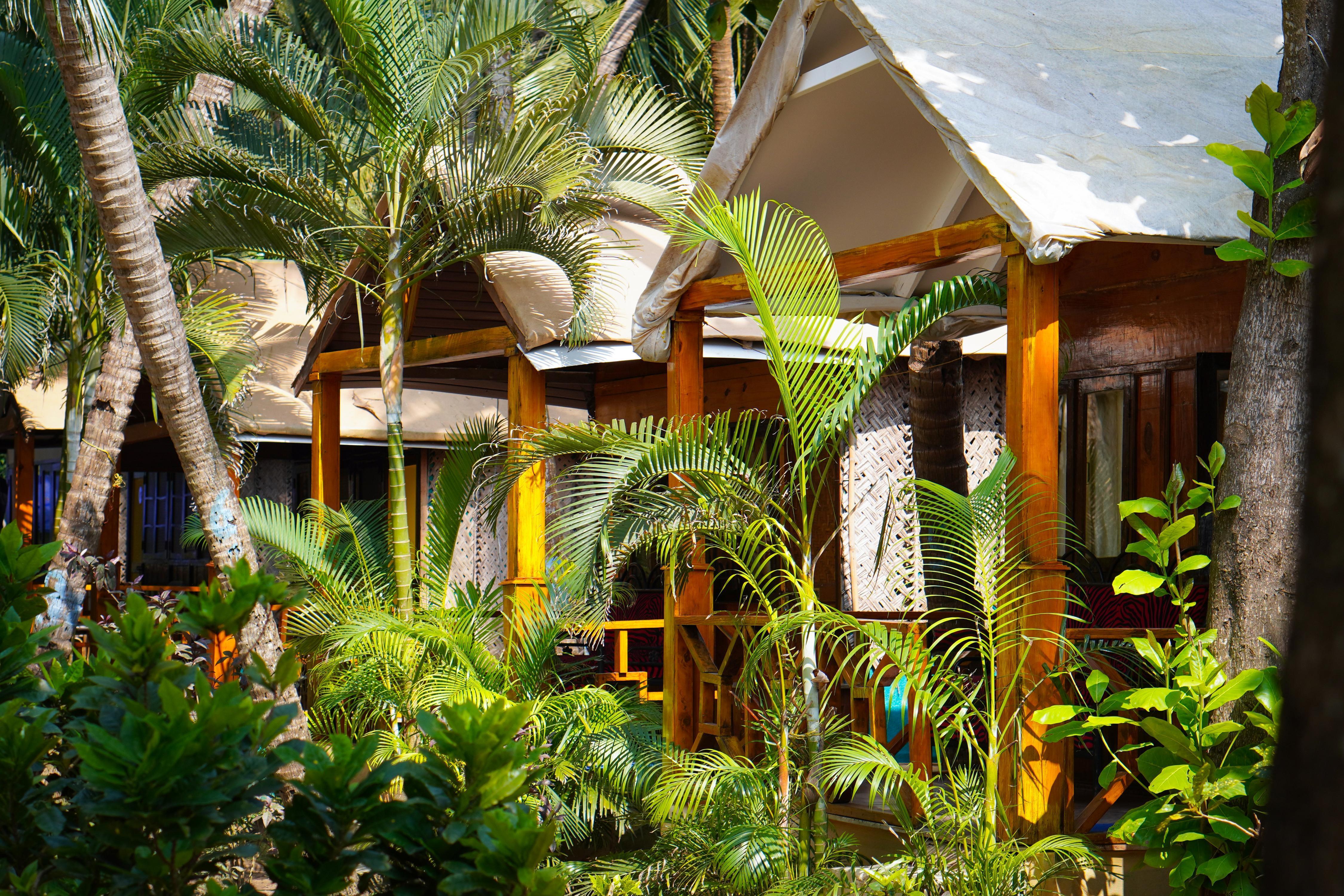 Sameer Beachfront Cottages, Palolem - Tap to explore photos