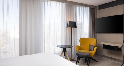 Hilton Garden Inn Bordeaux Centre Room Type - QUEEN ACCESSIBLE ROOM