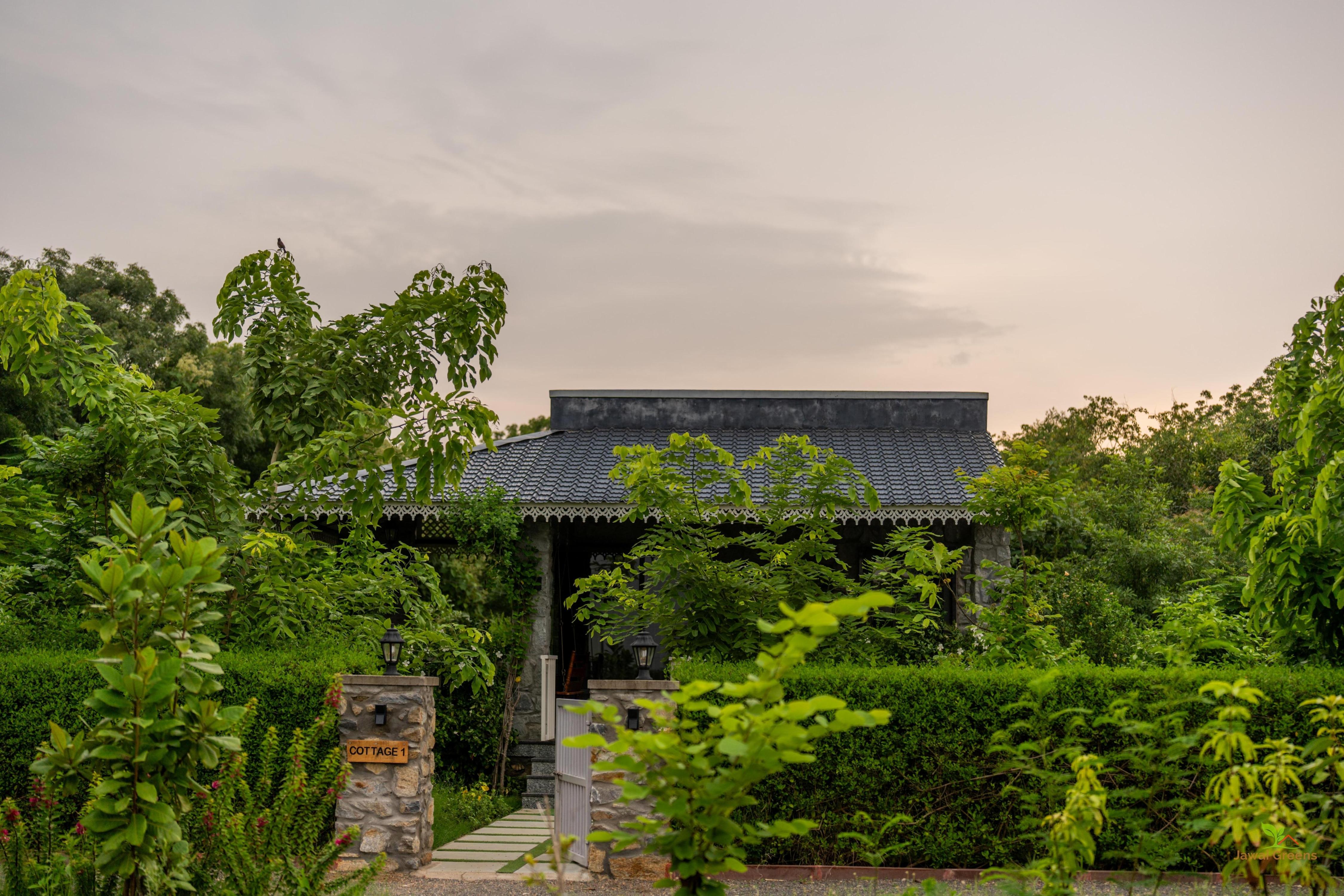 JAWAI GREENS Room Type - Premium Cottage with balcony