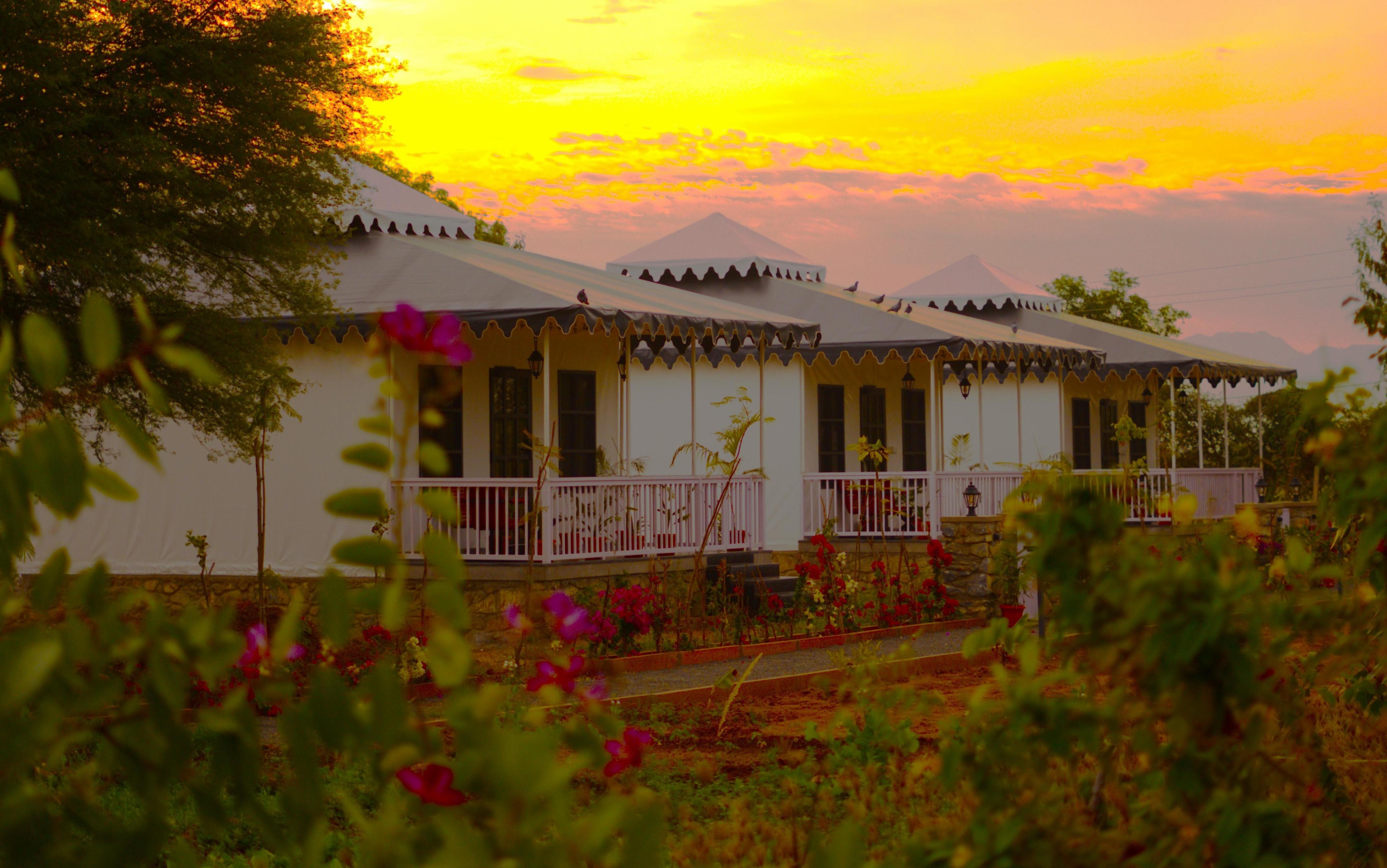 JAWAI GREENS Room Type - Luxury Tent with Balcony
