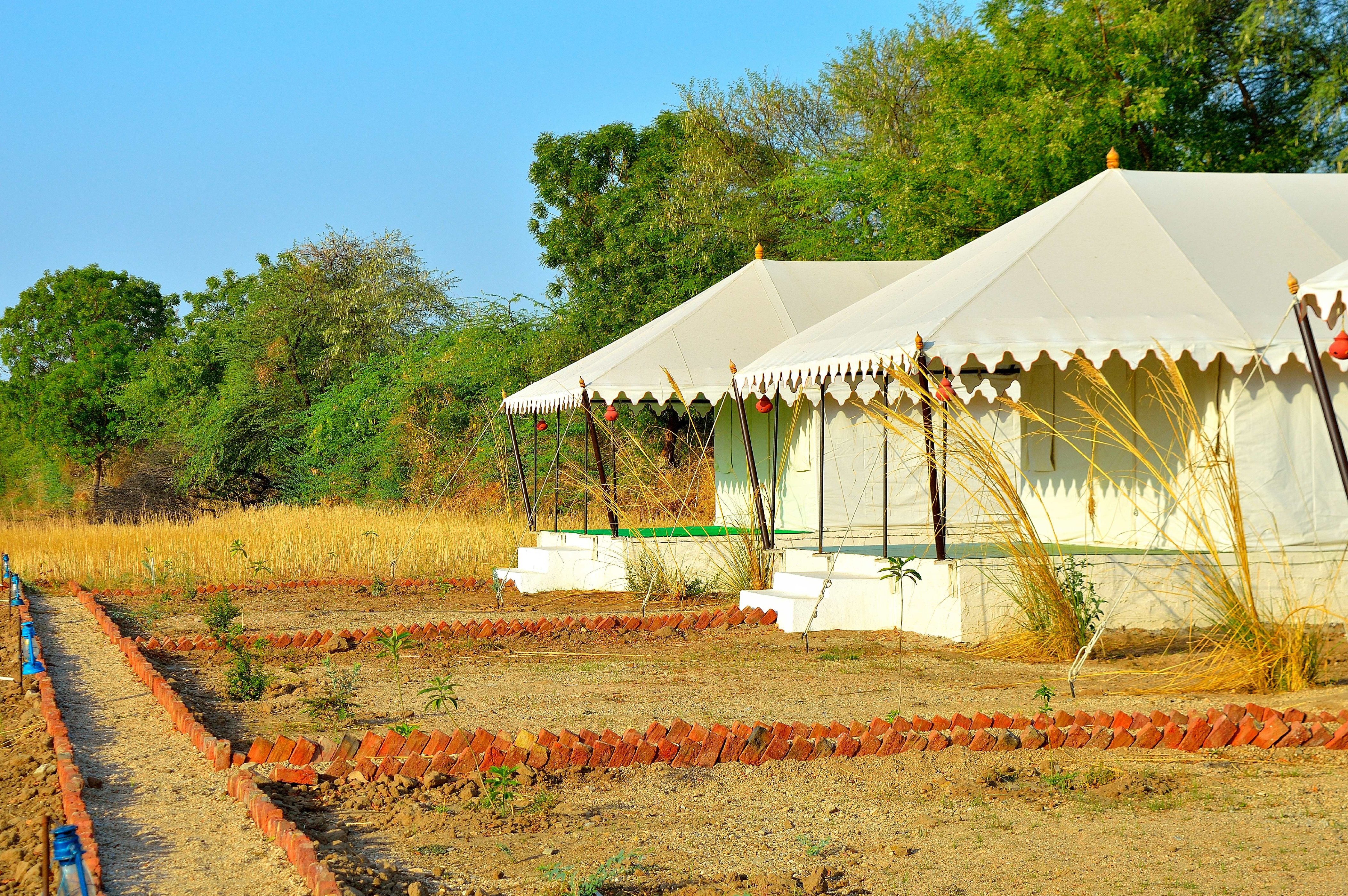Sena Safari Camp - Tap to explore photos