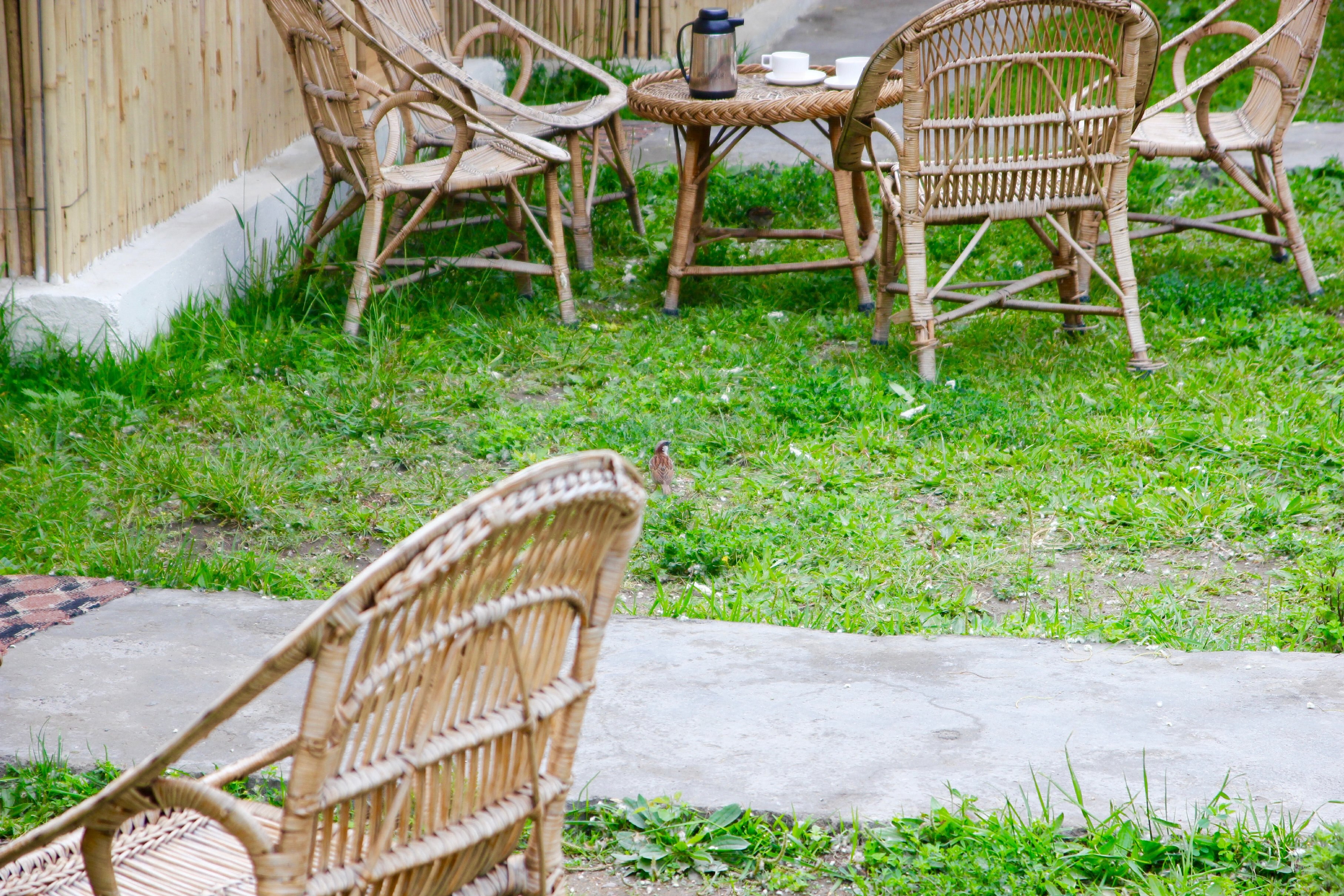 Imperial Eco Cottage | Rooms & Restaurant - Tap to explore photos