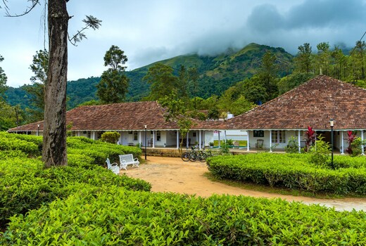Zostel Plus Wayanad