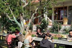 Madpackers Manali | Backpacking Hostel with Mountain View