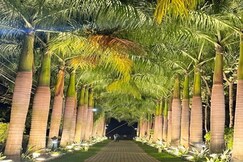 Sharmada Hidden Nest Resort