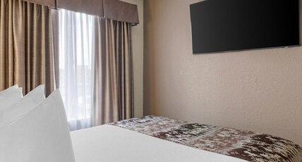Best Western Plus Pembina Inn & Suites Room Type - Suite-1 Queen Bed, Non-Smoking, High Speed Internet Access, Deluxe Room, Sofabed, Microwave And Refr