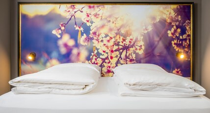 AWA Hotel Room Type - Junior Suite AWA Hotel Room Type - Junior Suite