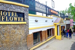 Hotel Sunflower 