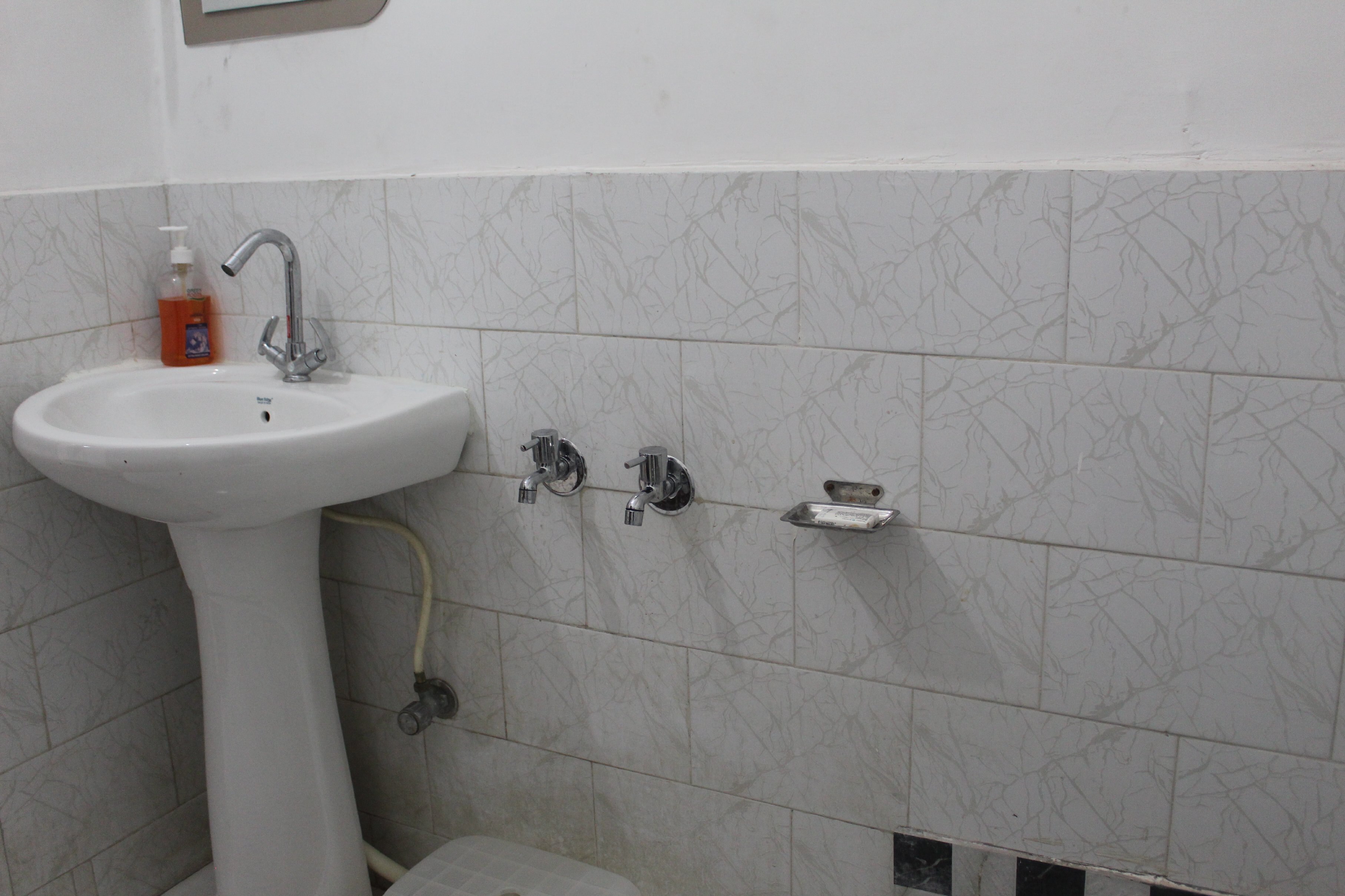 Whispering Pines - Tap to explore photos