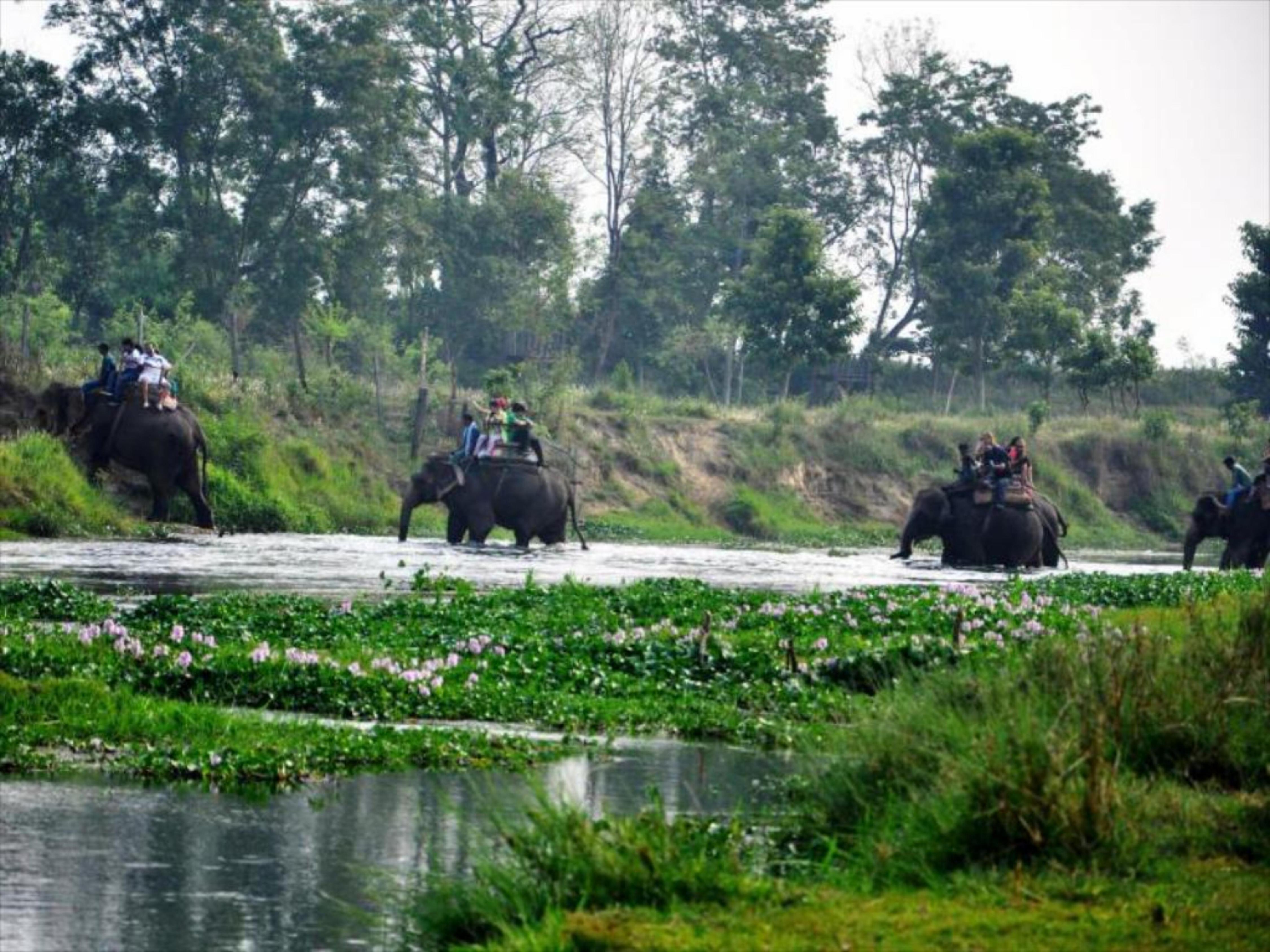 Chitwan Paradise Hotel - Tap to explore photos