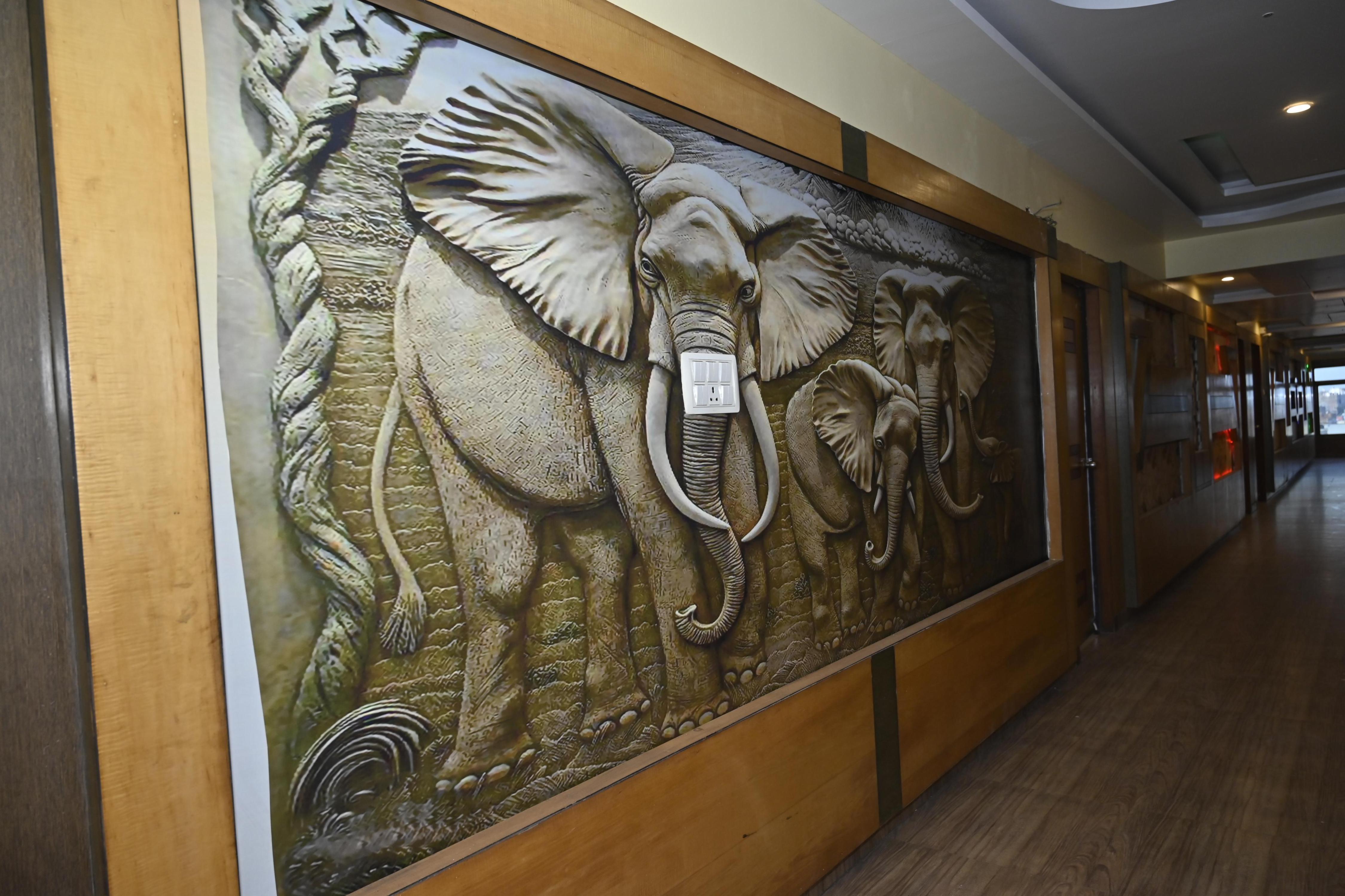 Main gallery