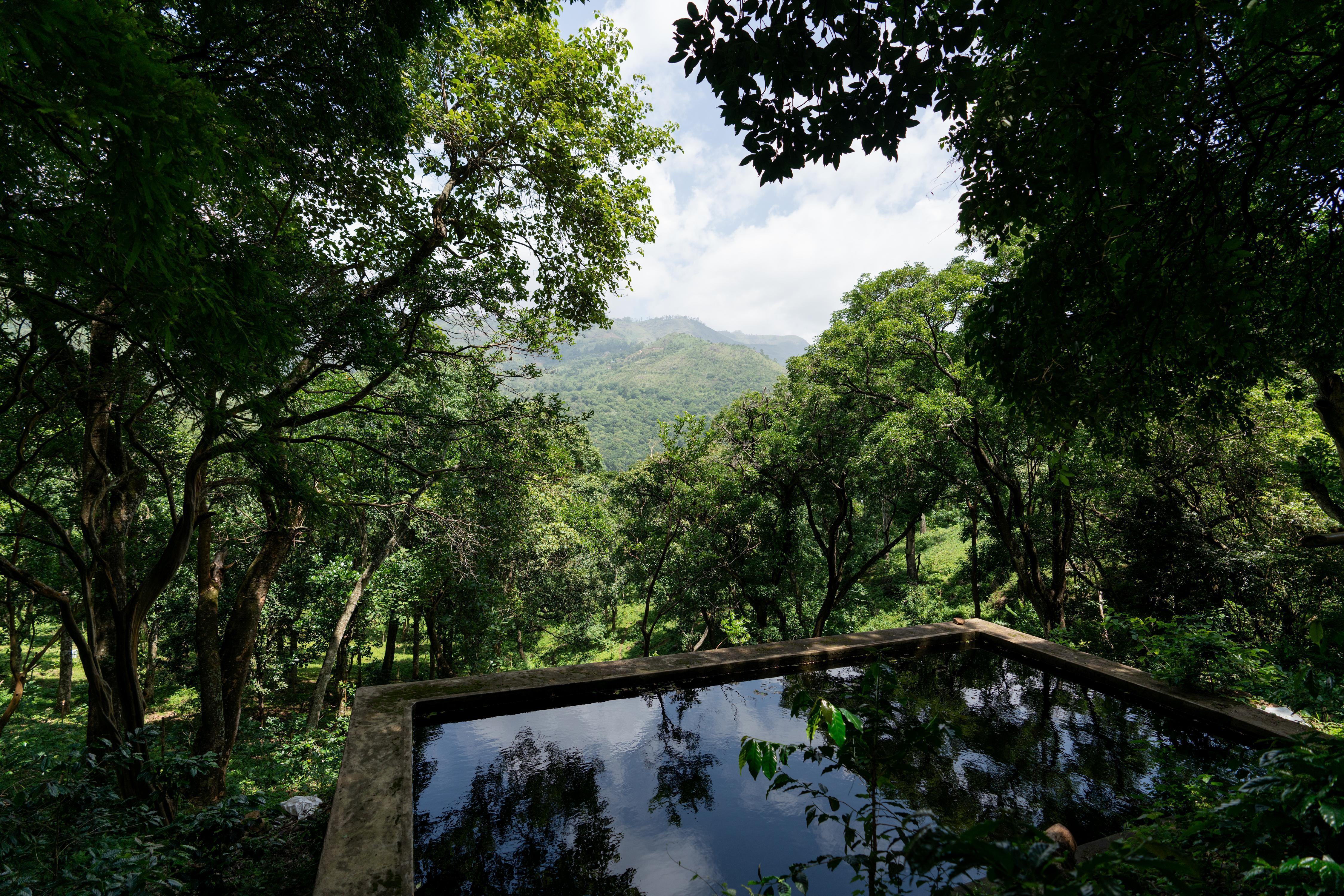 SaffronStays Nandanvan Estate - Tap to explore photos