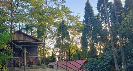 Orion Retreat | Jungle Huts Room Type - Standard Hut