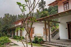 Tree of Life Shambala Yercaud