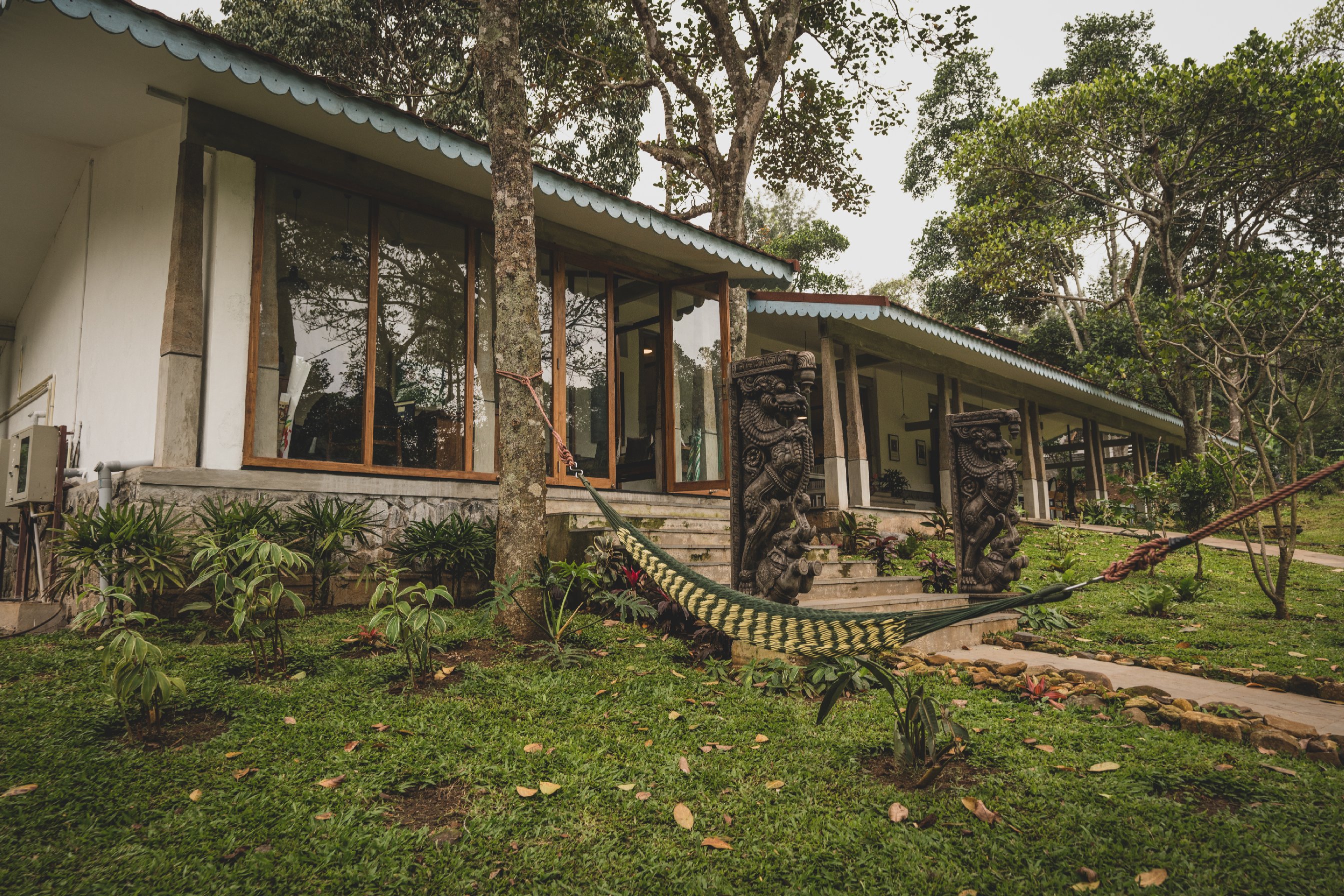 Tree of Life Shambala Yercaud