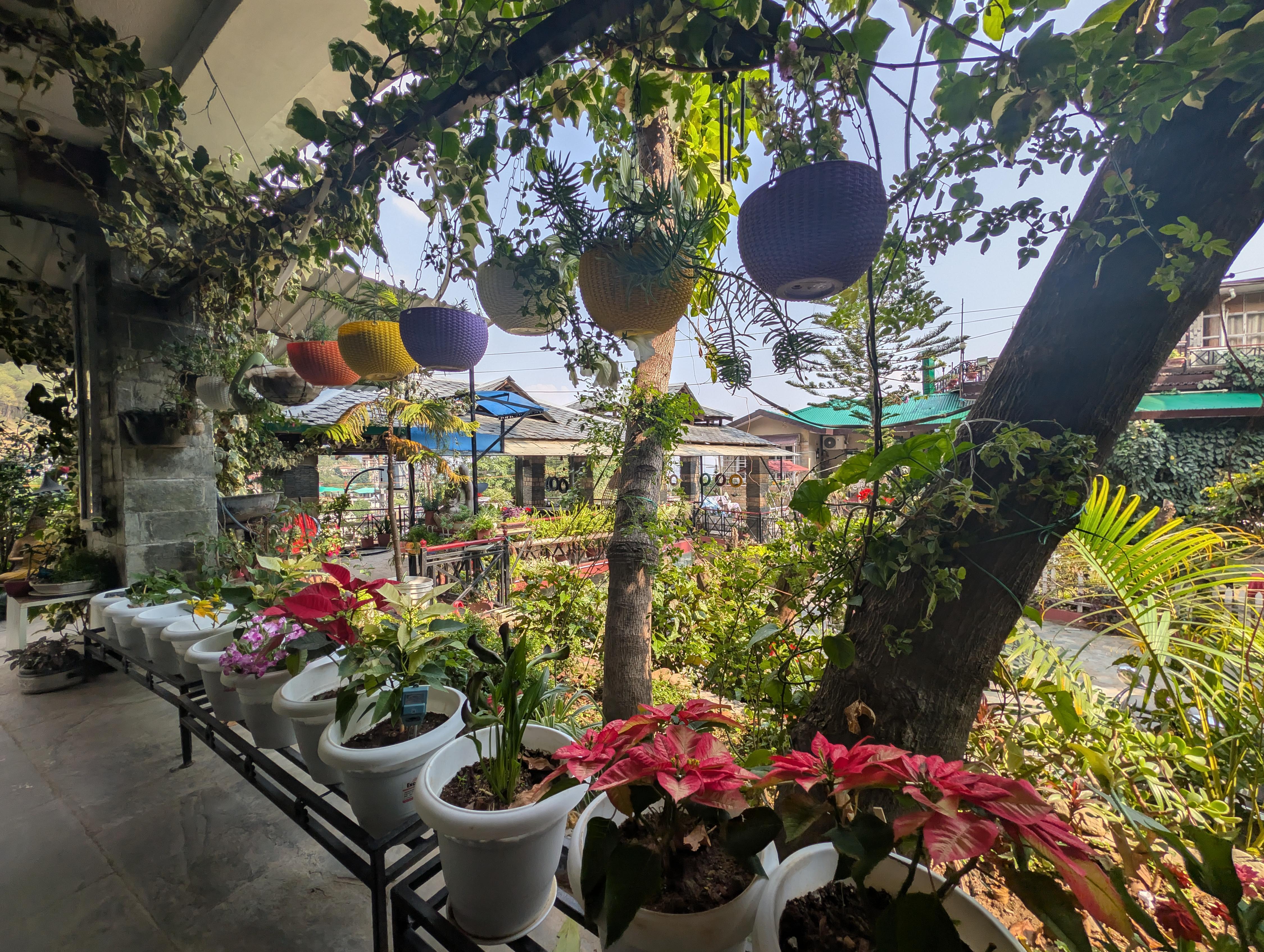Nandini Villa