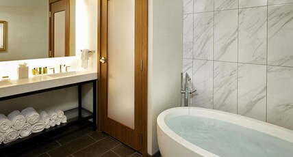 Hilton Cleveland Downtown Room Type - 1KING 1BDRM GRAFFITI SUITE