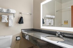 Best Western Plus McKinney Inn and Suites