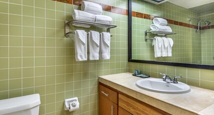 Best Western Pine Tree Motel Room Type - 2 Queen Beds, Non-Smoking, Lawn View, Balcony, High Speed Internet Access, Coffee Maker, Continental Best Western Pine Tree Motel Room Type - 2 Queen Beds, Non-Smoking, Lawn View, Balcony, High Speed Internet Access, Coffee Maker, Continental